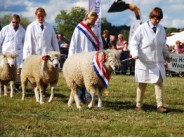 17. Moreton-in-Marsh Show